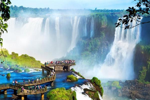 تور برزیل ارزان: برترین زمان سفر به برزیل با توجه به علائق دوستداران سافاری (قسمت دوم)
