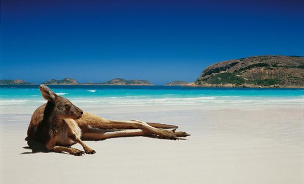 تور استرالیا ارزان: 6 چیزی که هیچ کس به شما قبل از سفر به استرالیا نمی گوید!