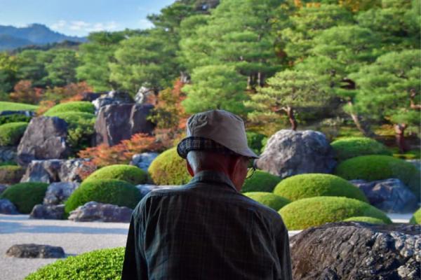 ویلا سازی: باغ های باورنکردنی ژاپن؛ زیبایی شناسی ژاپنی