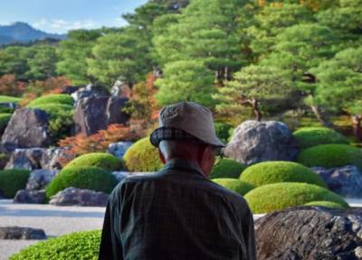 ویلا سازی: باغ های باورنکردنی ژاپن؛ زیبایی شناسی ژاپنی