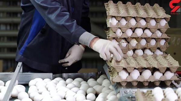 قیمت نو تخم مرغ در بازار ، یک شانه 30 عددی چند شد؟