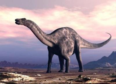 فسیل 167 میلیون ساله دایناسور هندی شگفتی ساز شد، قدیمی ترین در نوع خود