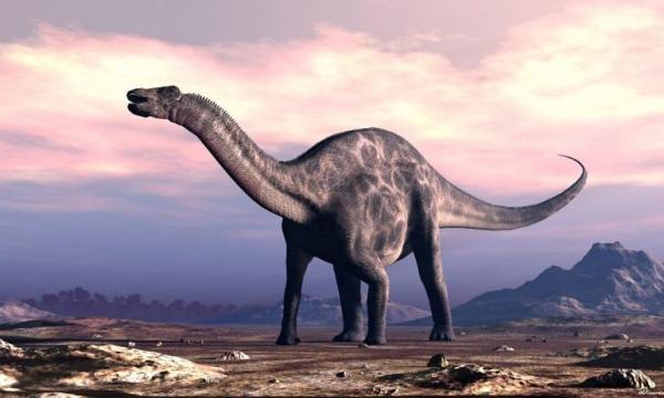 فسیل 167 میلیون ساله دایناسور هندی شگفتی ساز شد، قدیمی ترین در نوع خود